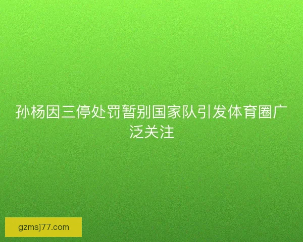 孙杨因三停处罚暂别国家队引发体育圈广泛关注
