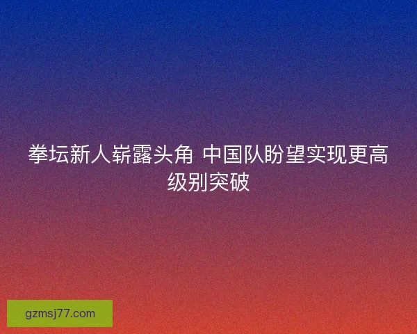 拳坛新人崭露头角 中国队盼望实现更高级别突破