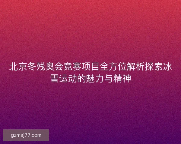 北京冬残奥会竞赛项目全方位解析探索冰雪运动的魅力与精神