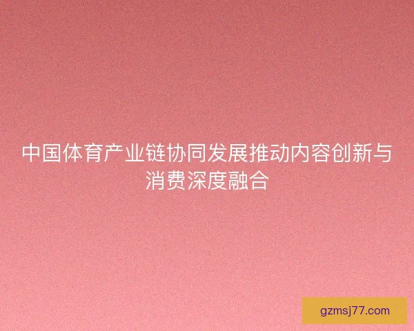 中国体育产业链协同发展推动内容创新与消费深度融合